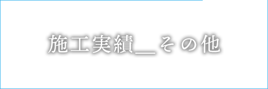 その他 